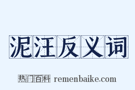 泥汪反义词是什么意思的图片